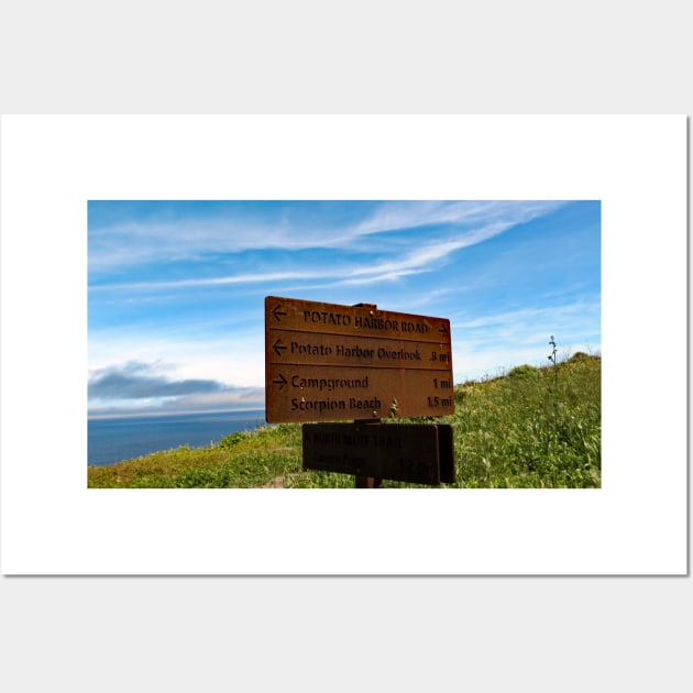 Channel Islands National Park Santa Cruz Island Wall Art by supernova23